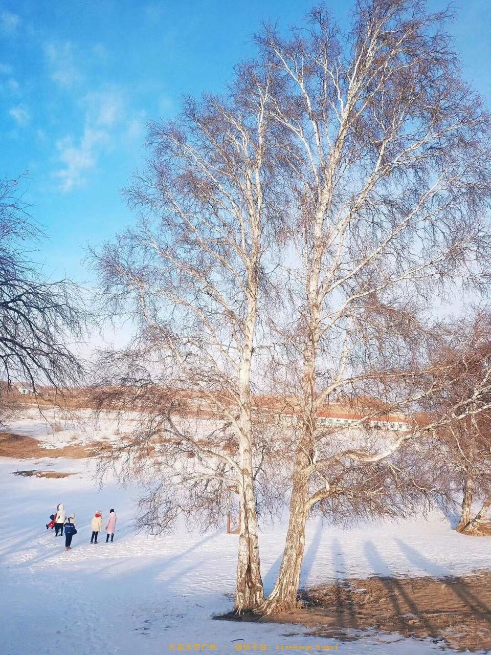 2009FA94-B5BD-4894-BAFB-9886E54871EF