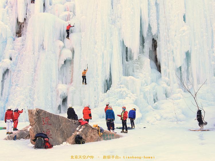 4EC74806-D41E-4366-874B-F22D24D21B20