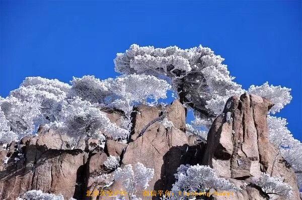 CFEAB835-BB79-4117-8206-6A0814FEAA12