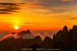 79E01019-042B-4D32-A0CD-813FDC03CADD