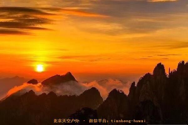 79E01019-042B-4D32-A0CD-813FDC03CADD