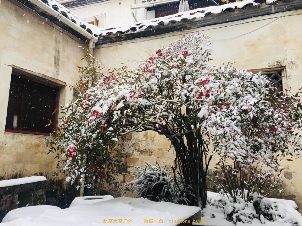 027E847E-21F6-4B4E-87FB-A5BF6E73CBBC