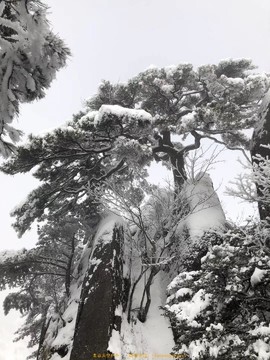 2E43A9D0-B730-4F70-A00A-EE94A823B82B