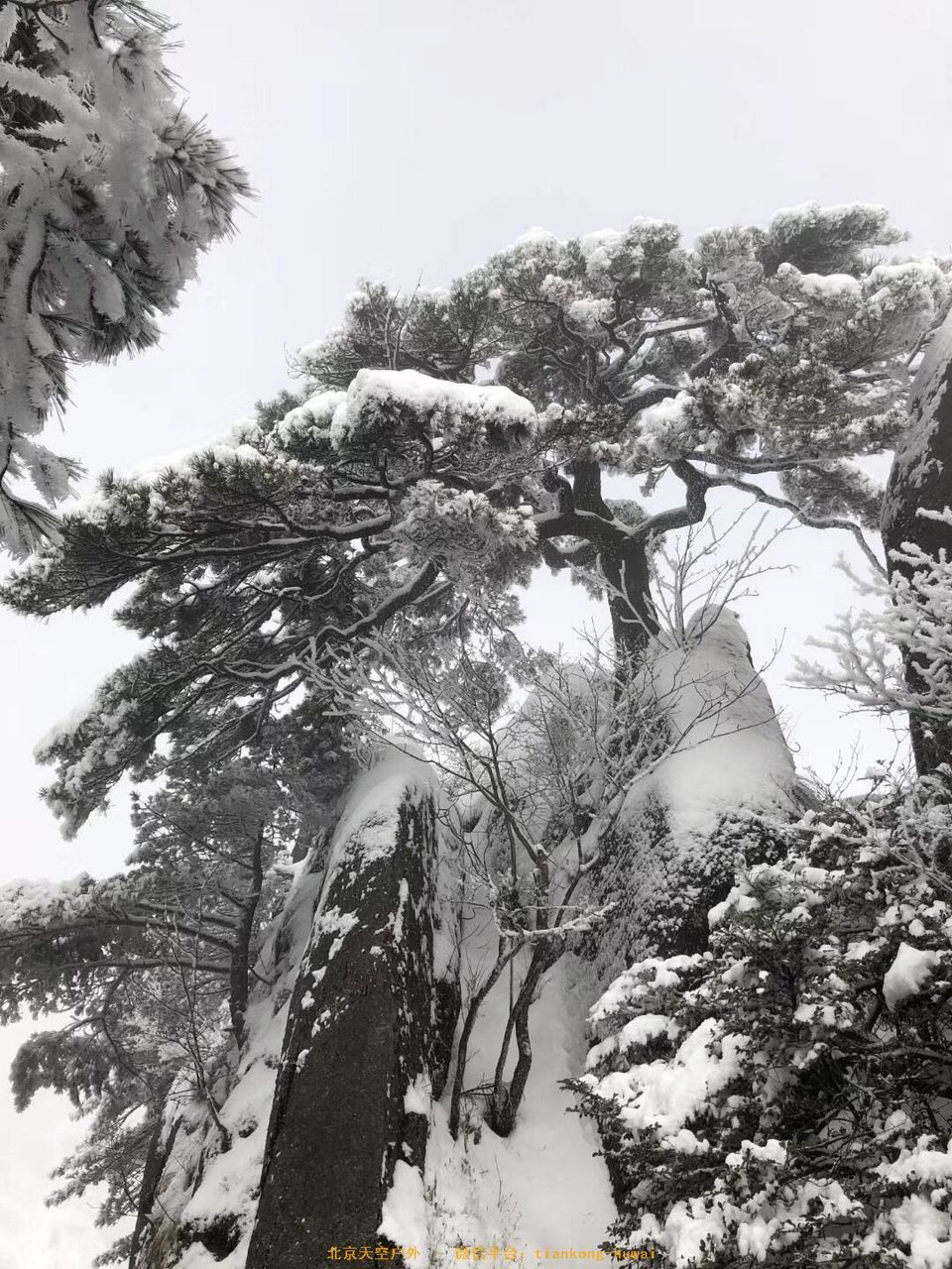 2E43A9D0-B730-4F70-A00A-EE94A823B82B