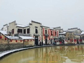 705C3392-93CD-46ED-92D6-B5DA5B117F86