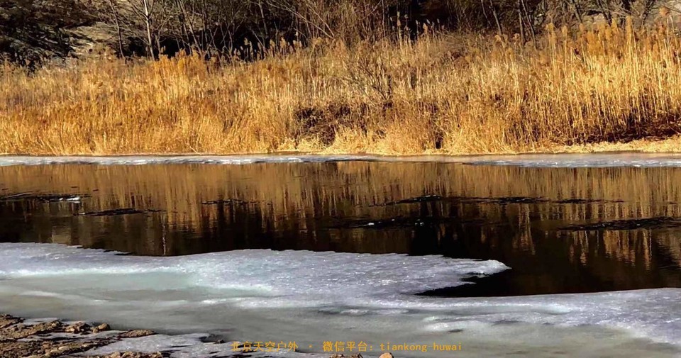 B7CD2893-9532-42B0-AC27-B59320BBEA61