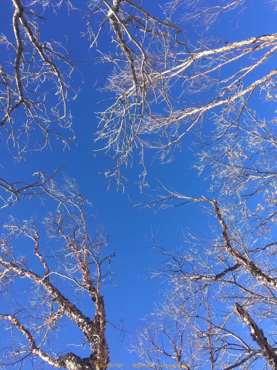 2A53D7CF-AE6F-46FA-9840-169724AFBDE4