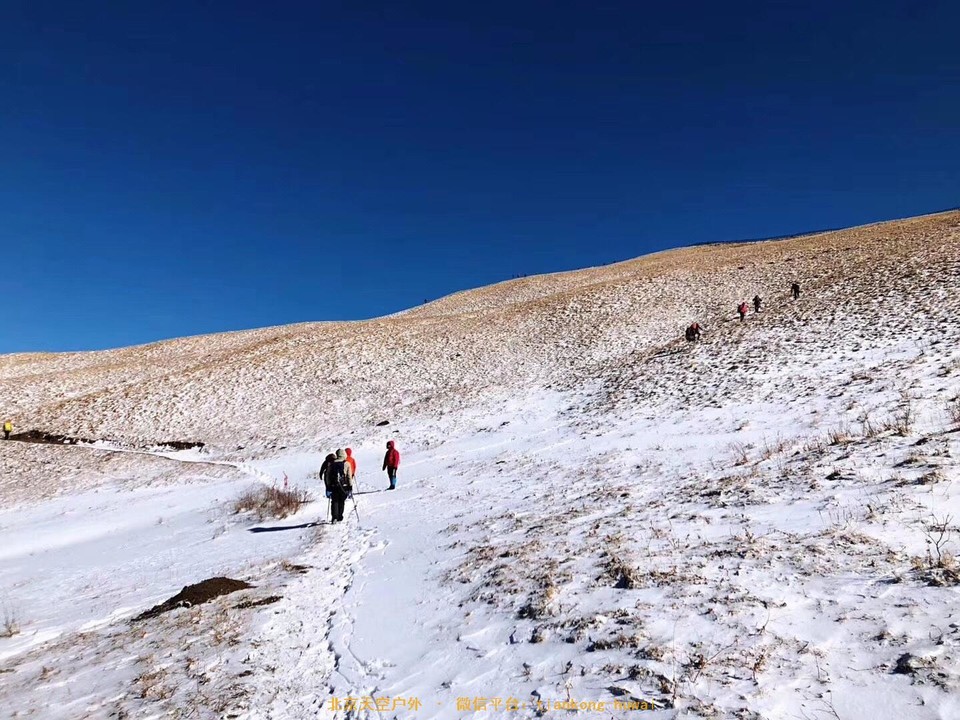 D5BA072C-AB14-45D9-B657-39B76FBCB769