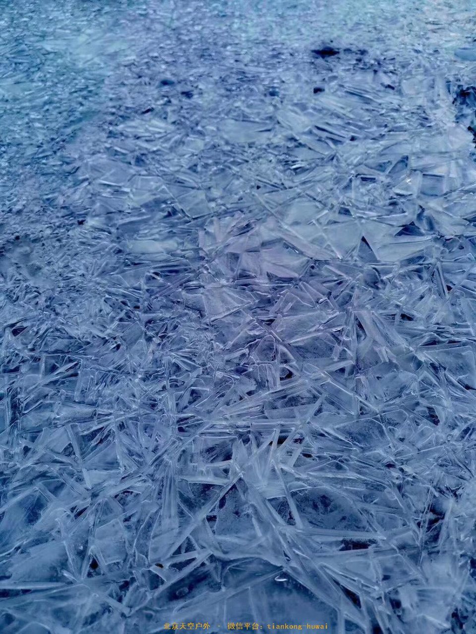 9C6BEB4C-A3D9-4C78-8A31-53492F6AC258