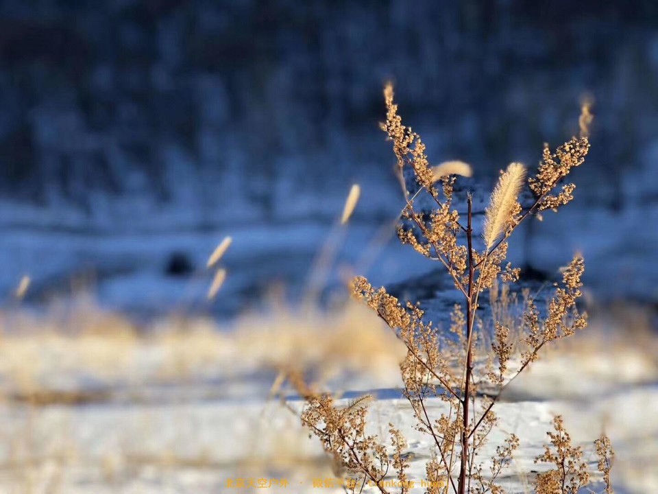 D22D073A-E18F-4BC5-9FC6-E49681C71395