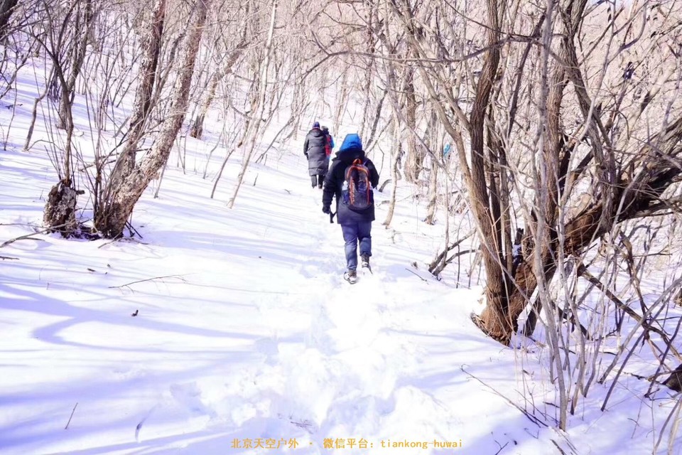 AB77F649-31DA-4413-8712-252ACB43669C