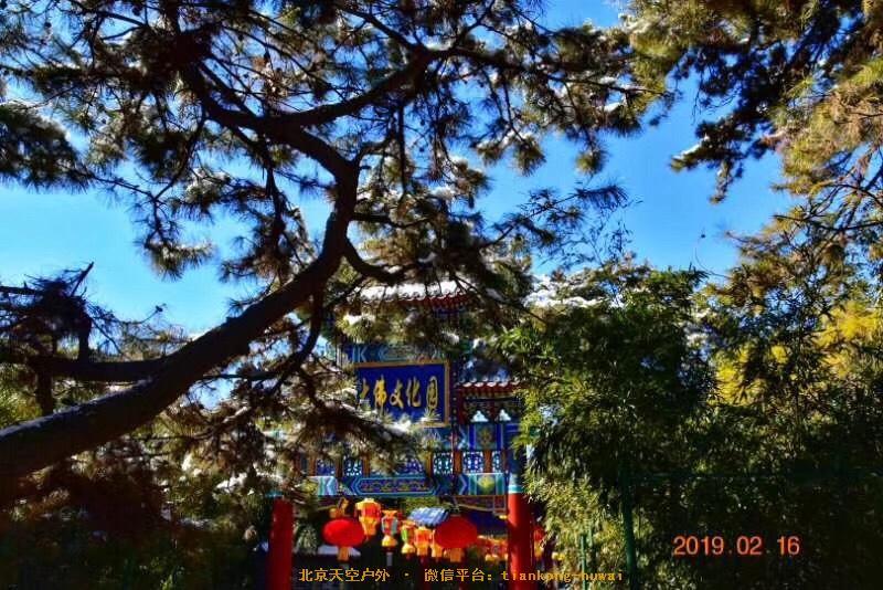 CAF81A11-5FE2-41DE-B1ED-9E99A487A8B1