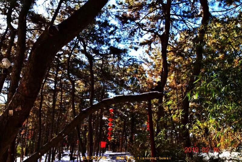 C5029231-652C-489A-8EA8-684534FE4569