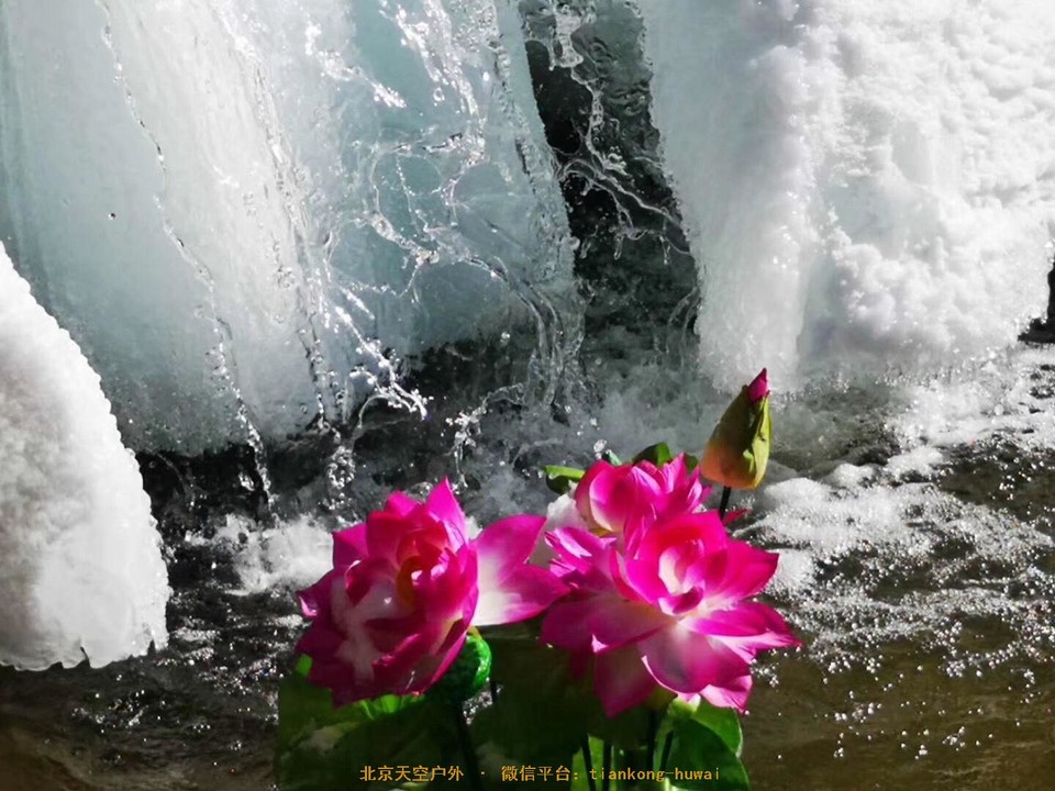 F194D0DC-7CC0-4BBA-A661-326F80BD3D89