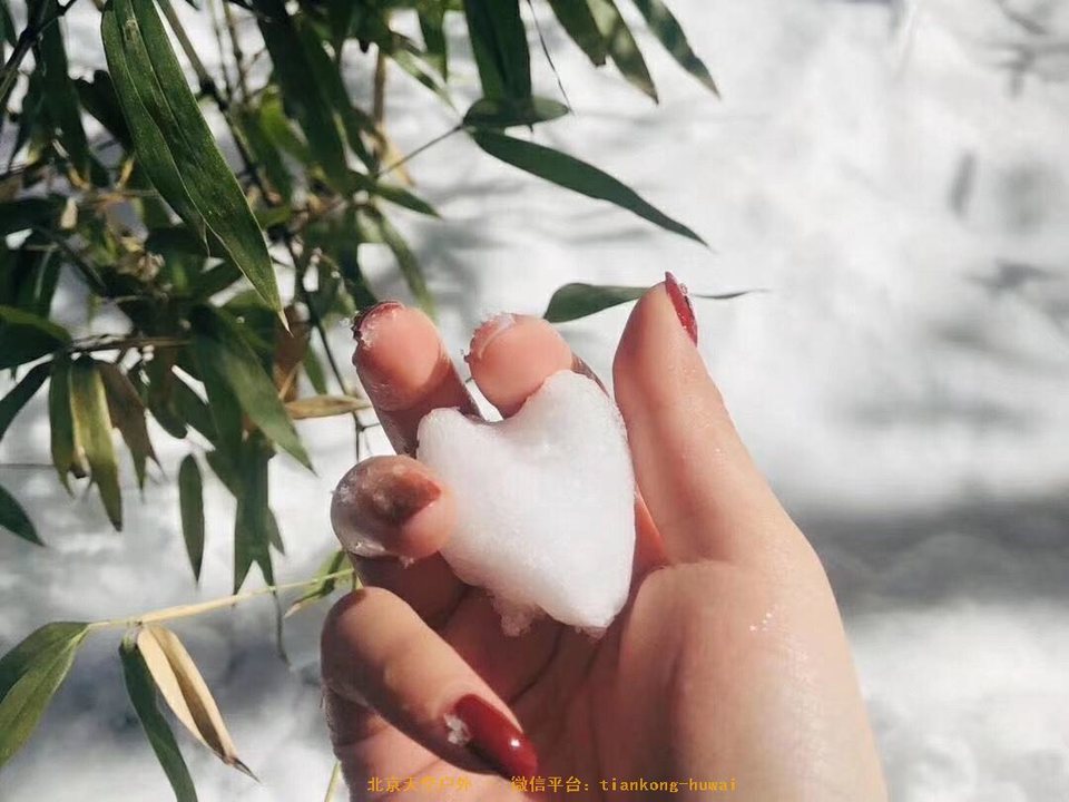 E8BA4344-7D1C-4AA8-BAC8-B44D1A816107