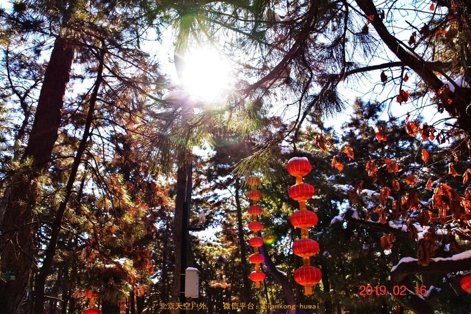 888D8845-B205-4F51-A3B9-C29C88C8542F