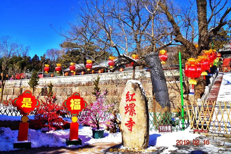 B8CF8528-0B1B-49EF-BAE1-3DFF7C352AEE