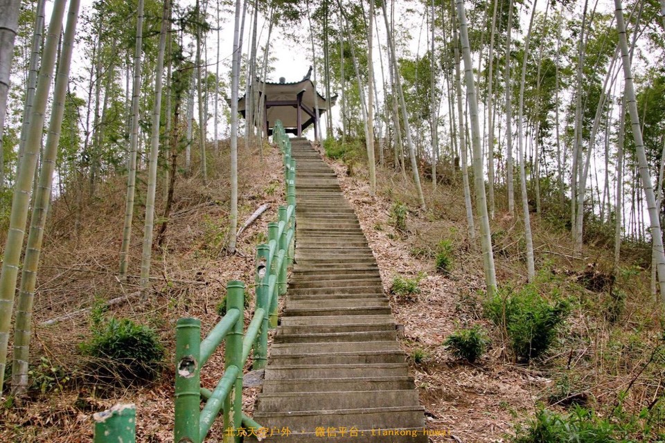 29AA90A3-2ACA-452E-874A-C0DD6FE781DB