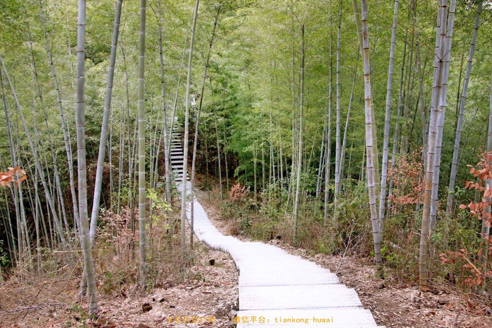 8BE46F4B-4D9D-4E76-BB0F-5DDF21008303