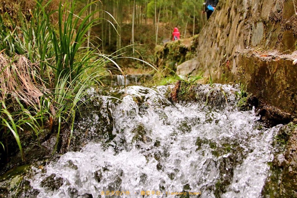 059D329A-1755-4EA5-9C4E-57ABB2A26431