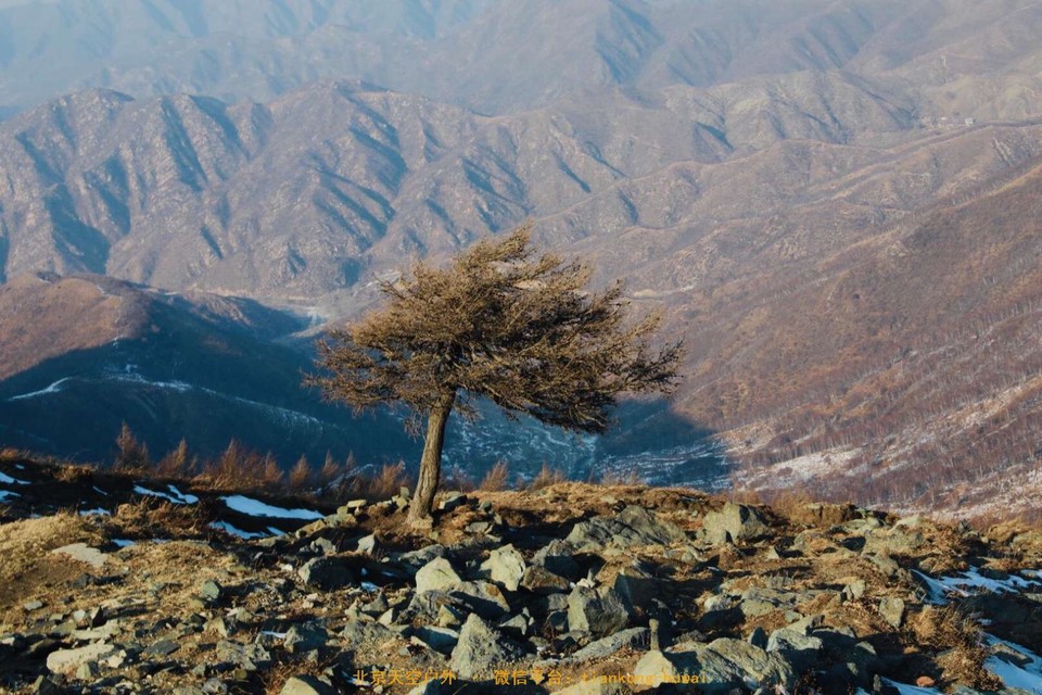 0D9D3C33-CA6D-4A10-8889-18607C3E73DC