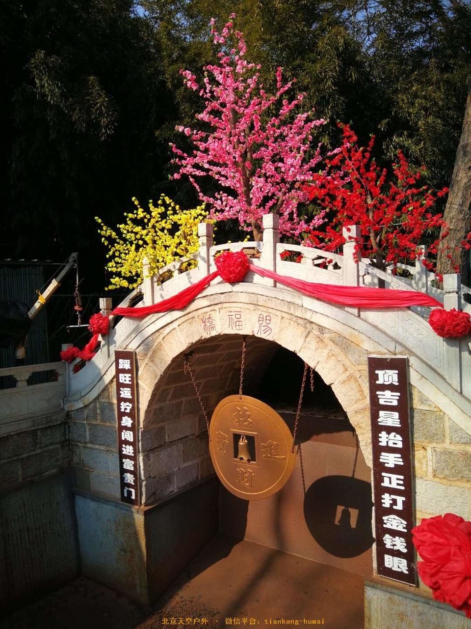 9E7339DD-A86D-4F24-9040-E583686E1541