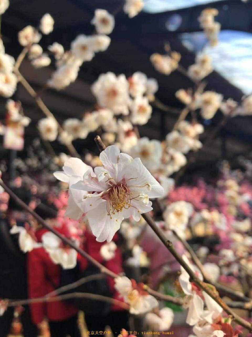 415C7E9E-4FEE-4BC5-9159-FED9A0FA01CE