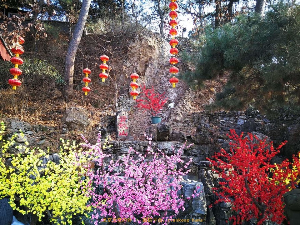 8EF52D5C-4FDA-40D1-874C-518D25AEDF13