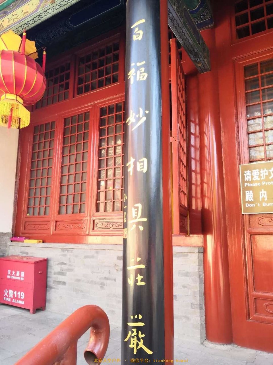 8F61EE09-6C4C-4A64-B8D5-78F39560BCB3