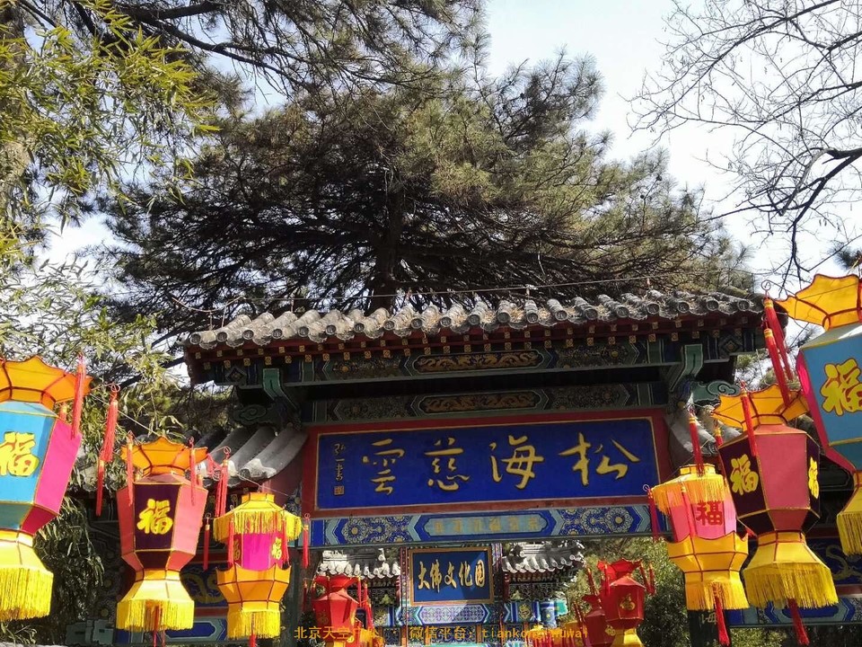 6F56830D-B1AC-4511-8C66-C350BE6C1C22