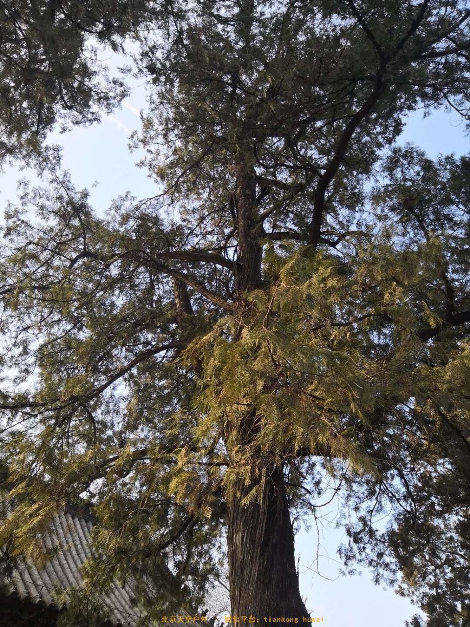 B9E8C15C-8AF1-41E5-9FF7-E7AF19555962