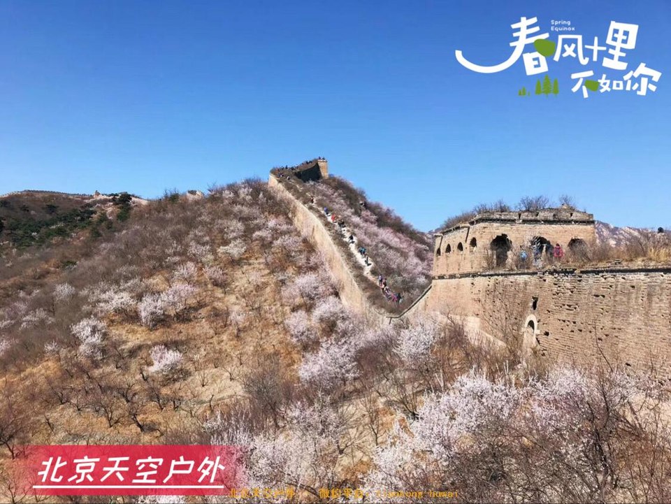 63EEAA32-C00A-40E0-9584-903197C736C1