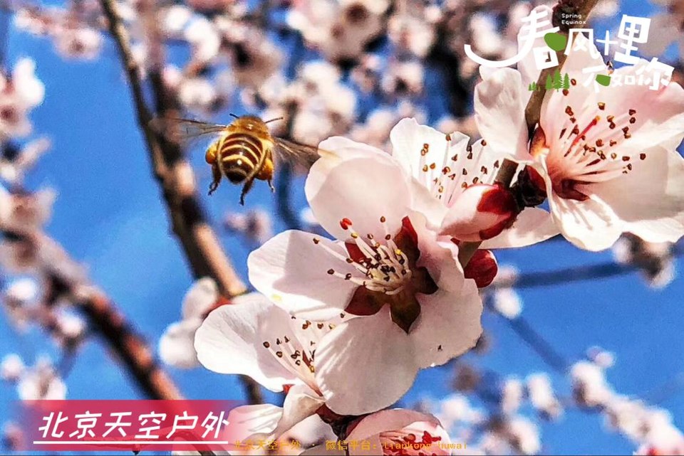 97972CEA-ED9C-4FB7-8FCC-A0C275C86C55