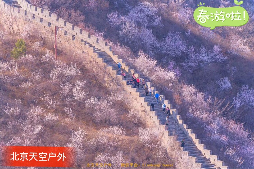 C774054F-7F47-45E6-BAB9-14DD4C444641