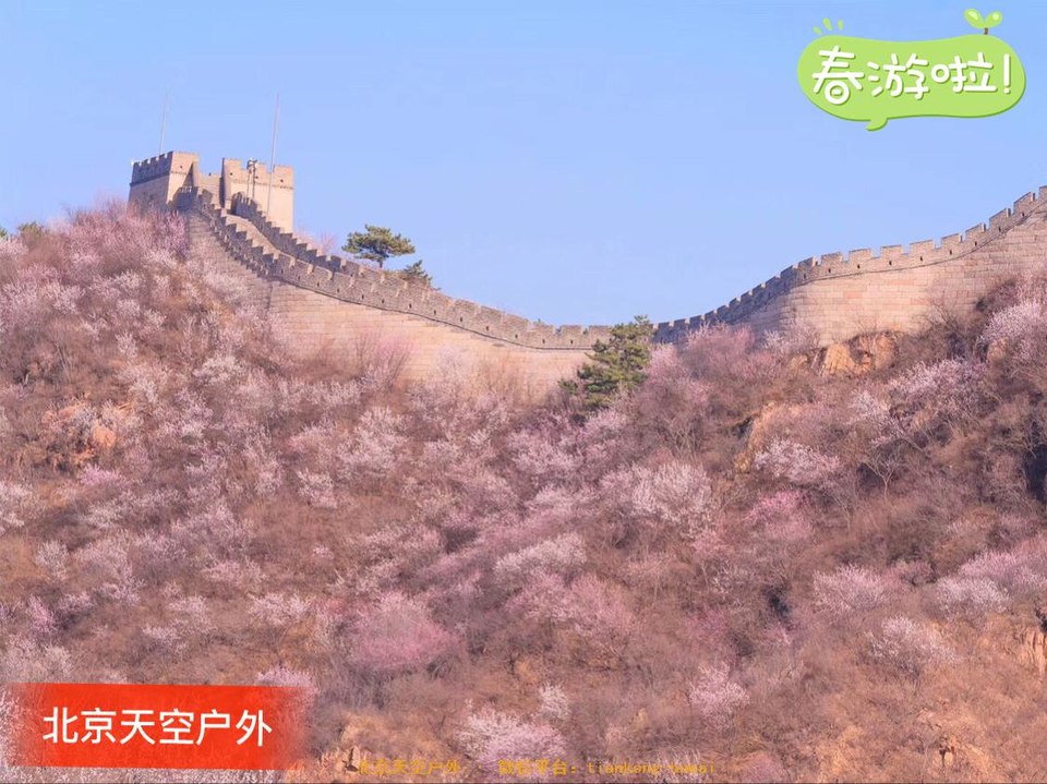 4B67FCA2-3AF9-4EF1-8E74-56A51C75A321