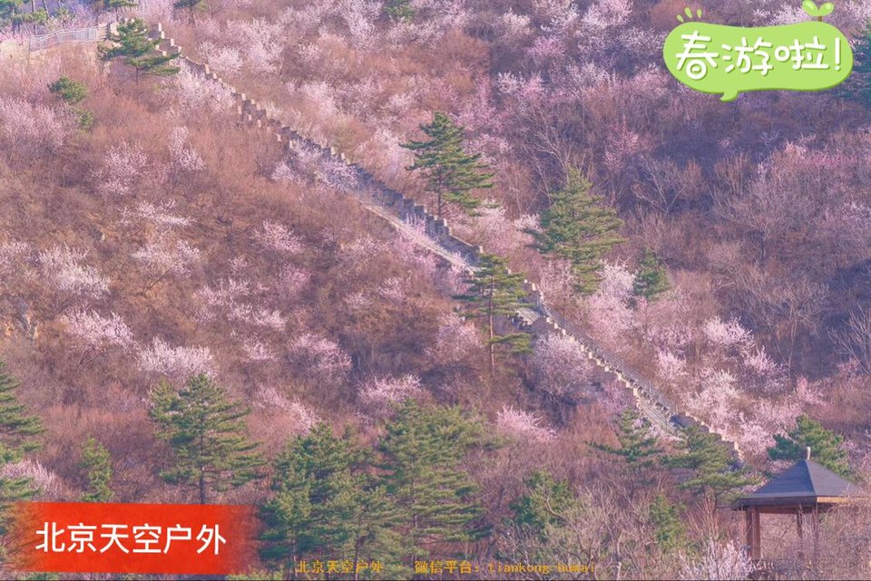 27A1BDAB-23AF-4F1B-BA75-D723825E2B74