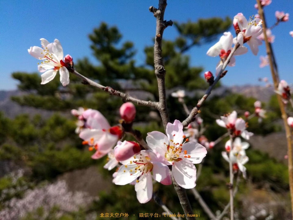 566FDE4A-E80D-4E91-A17F-329F437C9FA0