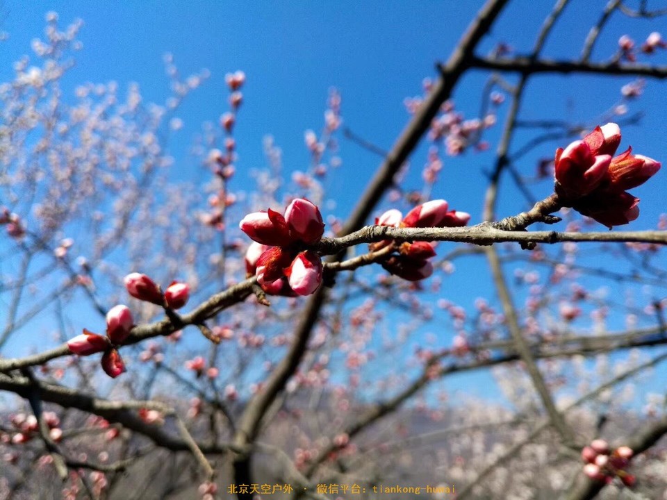 9D8C84F7-7AE1-4EED-9E8C-F2E4C747D0E7