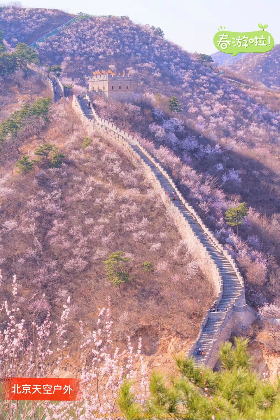 C6B4DDED-857E-4DCC-ABA8-555F57F75715