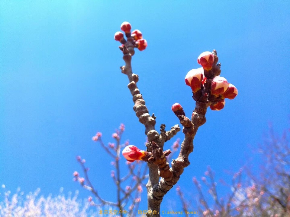 51E81B70-D4FC-41DA-B6E2-131E2D66C136