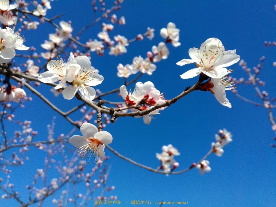 DC18A727-98D7-46EC-BC29-E42A48A345FF