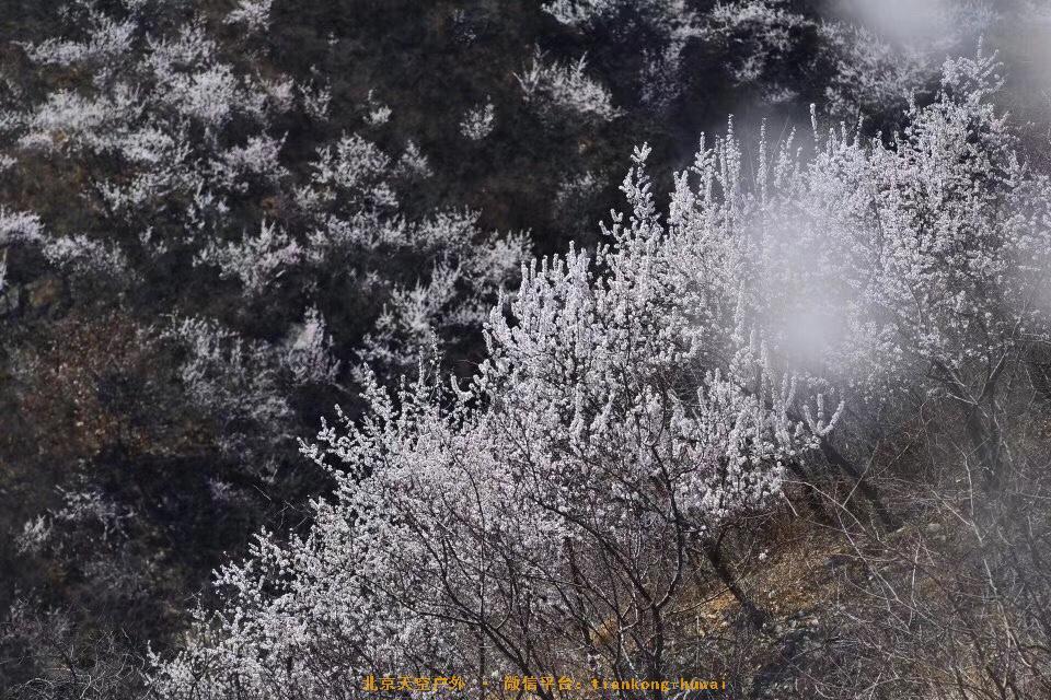 C9CA2480-EFE9-4DD6-8032-DC64BB034F65