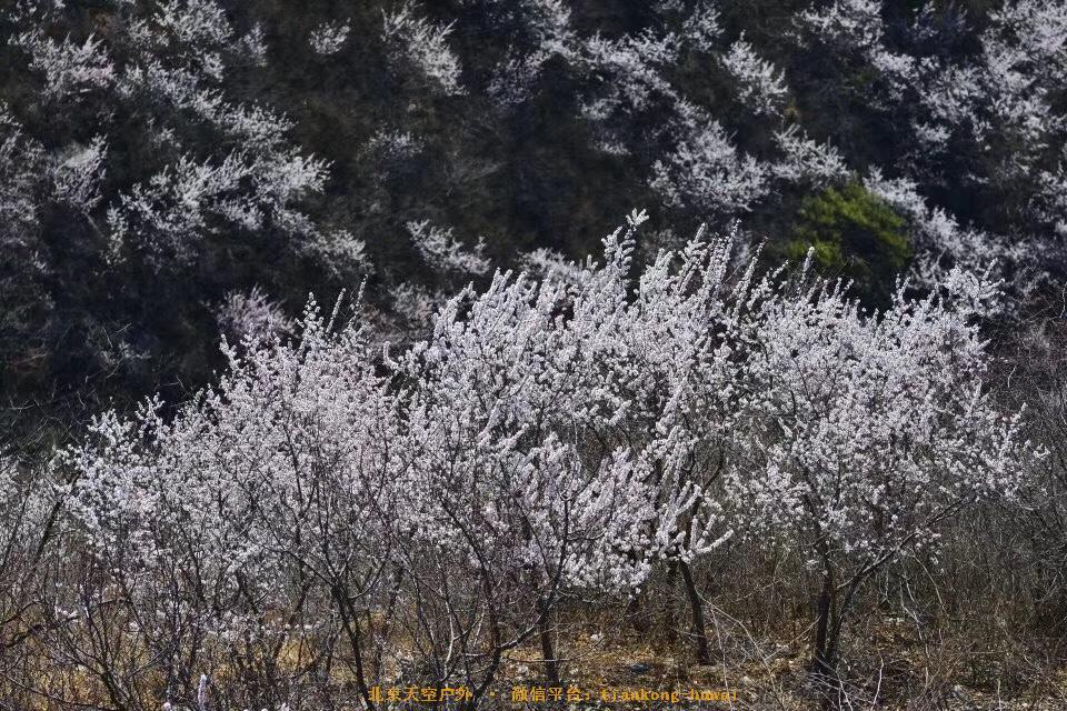 3B25E5D7-C406-475F-989E-4526646B0C42