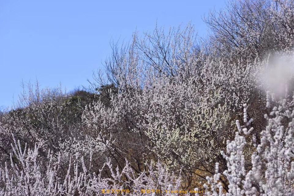 0C99BA98-1380-439D-90C0-CFA9C330C0E2