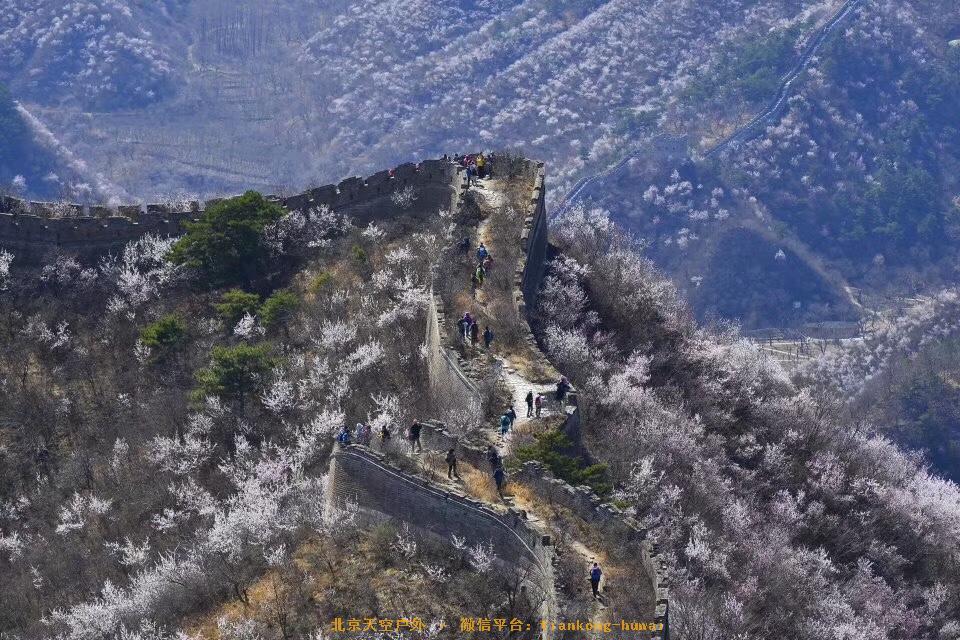 A04722C9-2BA4-4A83-A7BD-E09AE602F7BE