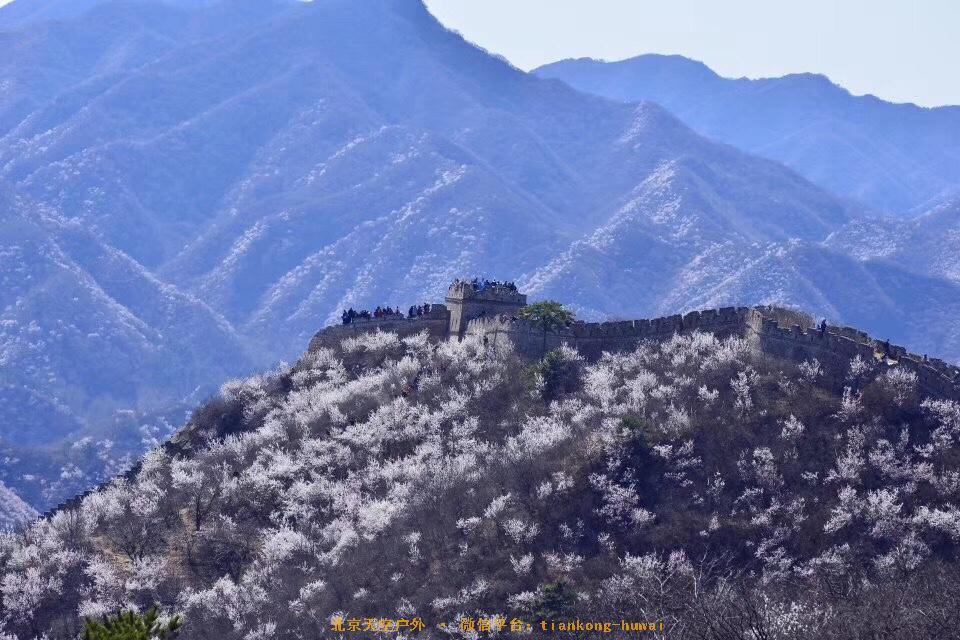 D5EC6DC6-7AF6-4EBD-95AF-E867EF33C1E3