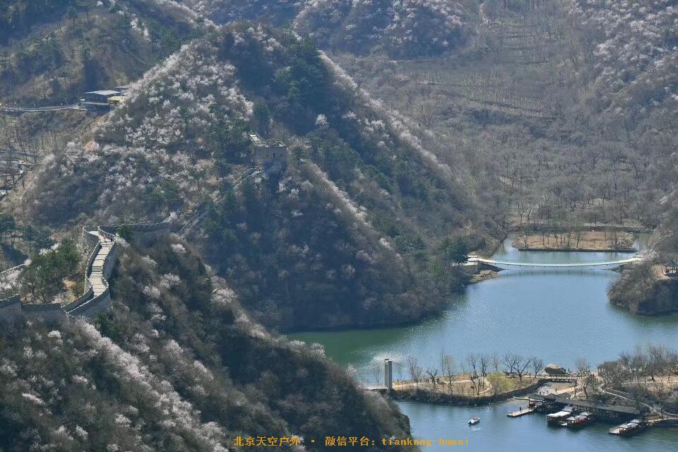 4403D38B-4299-4291-936D-1B21BA62AEB5