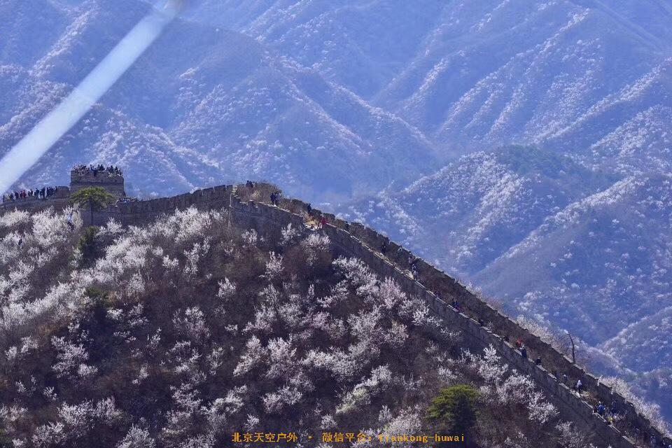 49B3A16E-6230-481D-A97C-5A96789DFC30