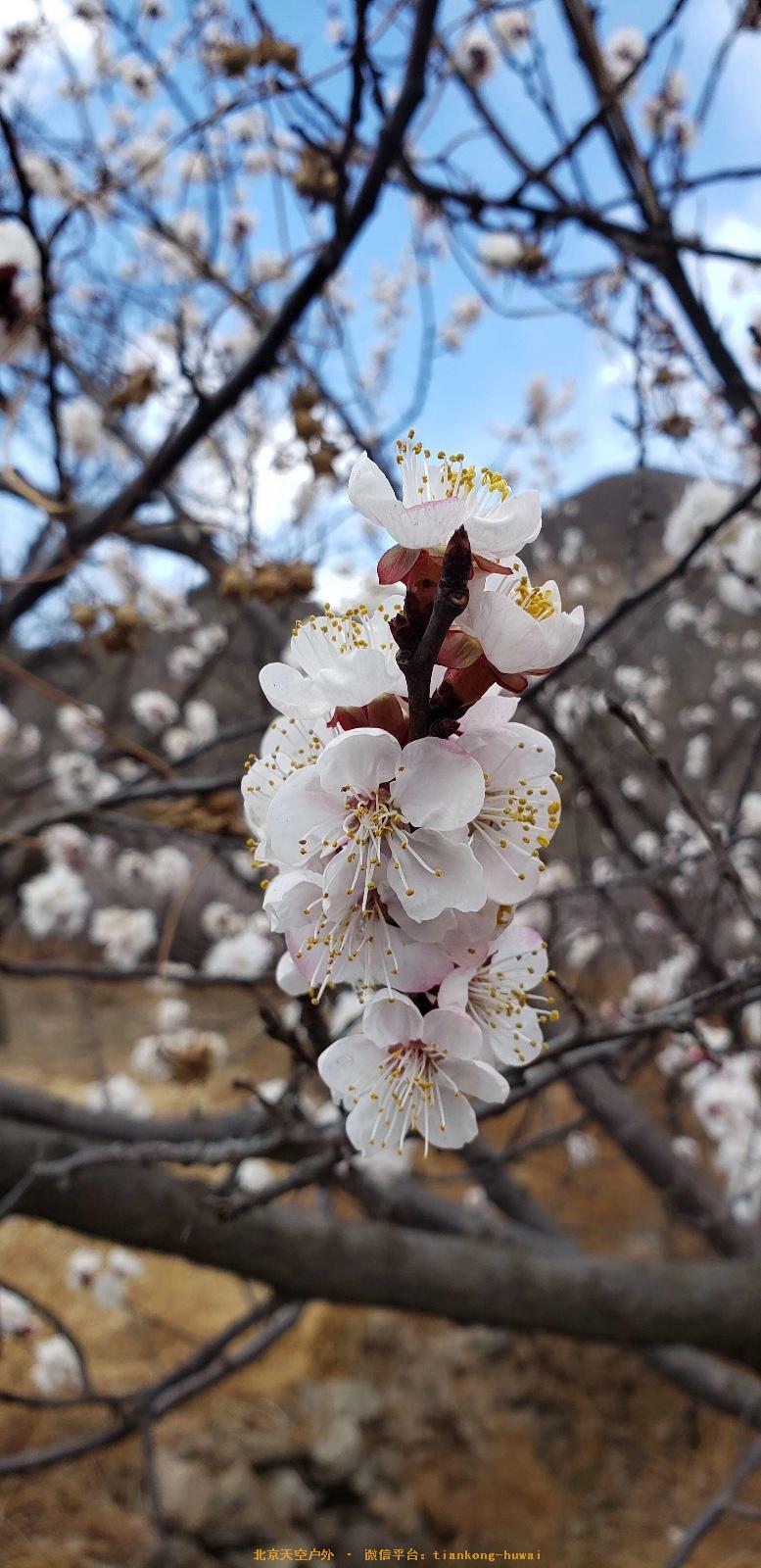 640319CF-0517-4849-A60B-B3345496B411