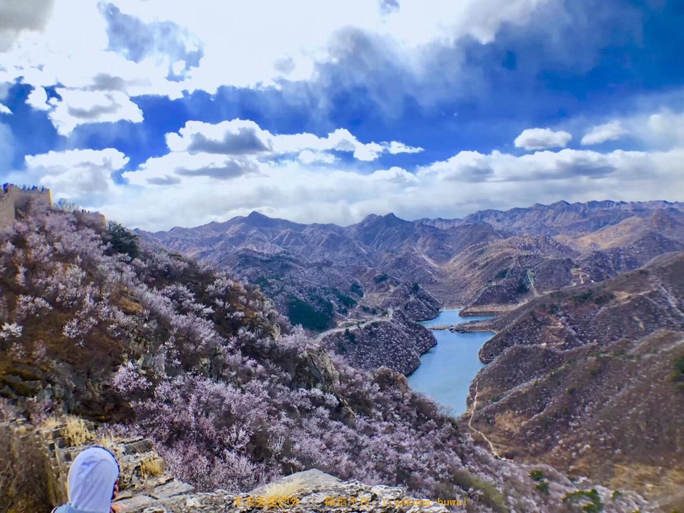 23C0F068-B5D3-4044-98F4-A74E4C078828